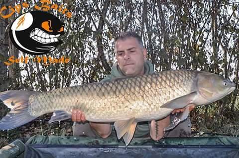 Carpfishing la modul meu 2015 - fbimg1452777257356.jpg